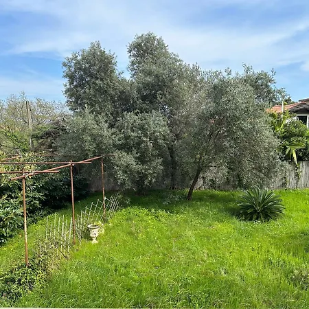 Il Paradiso Di Anna E Gian * Ceriale